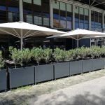 La Rucula - Ristorante Italiano - Parque das Nações