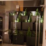 La Rucula - Ristorante Italiano - Paço de Arcos